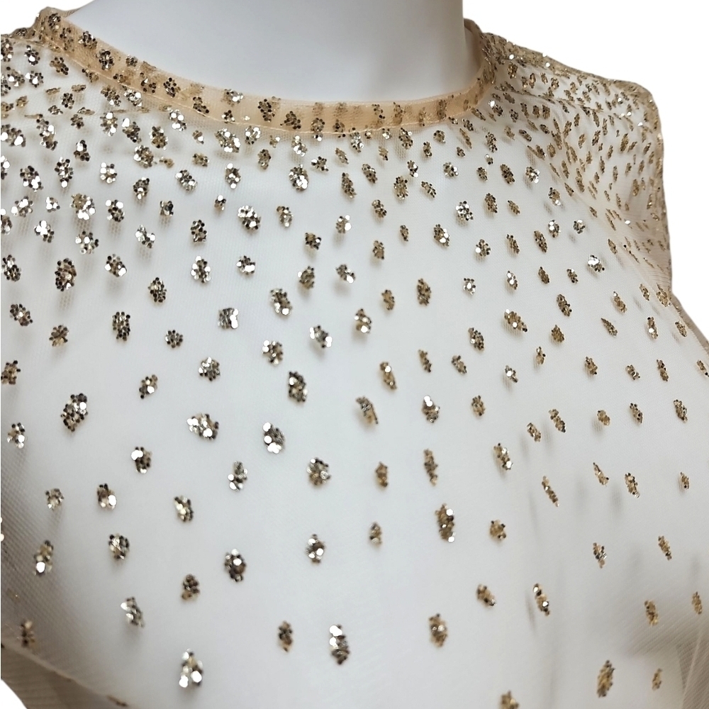 LIRIKA MATOSHI | Sheer Mesh Glitter Top in Size Small - Picture 4 of 10